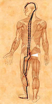 BL34 . Xia Liao